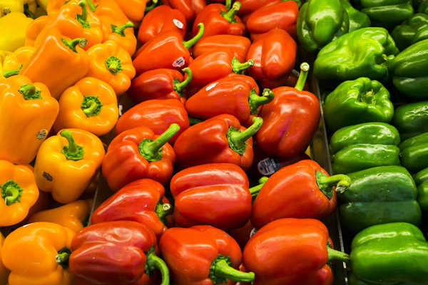Red, orange and green peppers at a vegetable market all piled up neatly and looking fresh for eating and cooking.